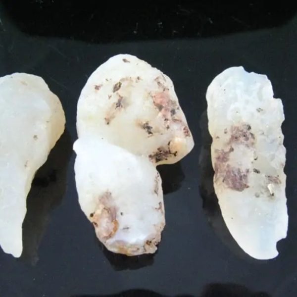 Fossilized White Tiger Testicles - Type H3 (Medium)