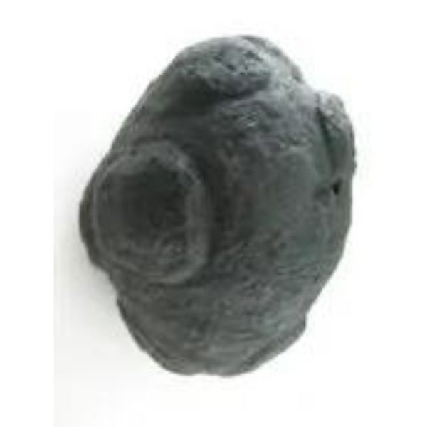 Star Oil Fossilized - A3.2 - Image 2