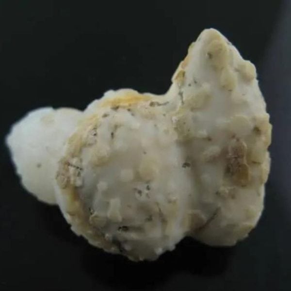 arcanegeligastone26_1