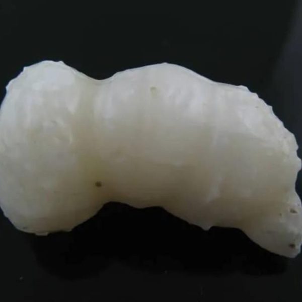 arcanegeligastone16_1