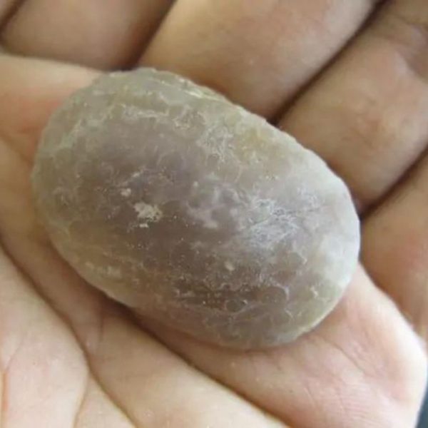 Porcupine Pearl – Type H1 - Image 2