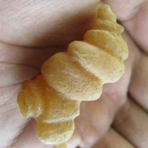 Caterpillar Fossil - Type G1