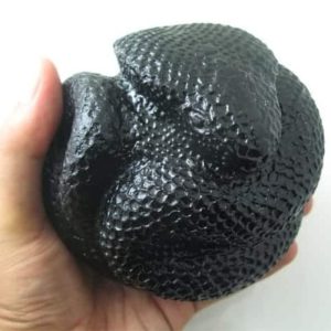 Snake Fossil - SF 45 (Crystal)