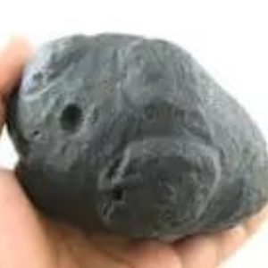 Star Oil Fossilized - A3.2