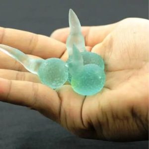 Green King Centipede Horns - Type C3
