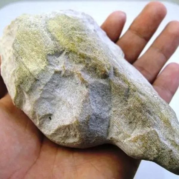 AsemWoodFossil-B1-C-Large-_1