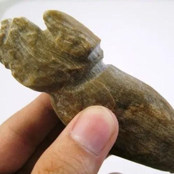 AsemWoodFossil-B2-C-Large-_1