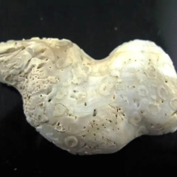 mustikamagickobject12_1