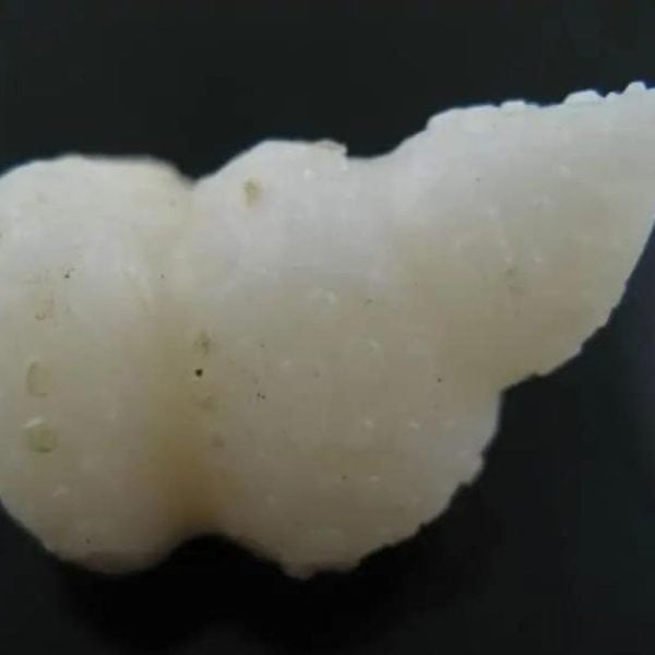 arcanegeligastone27_1