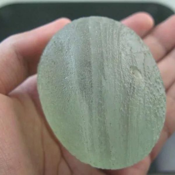 Stingray Fish Pearl - Type A - Image 3