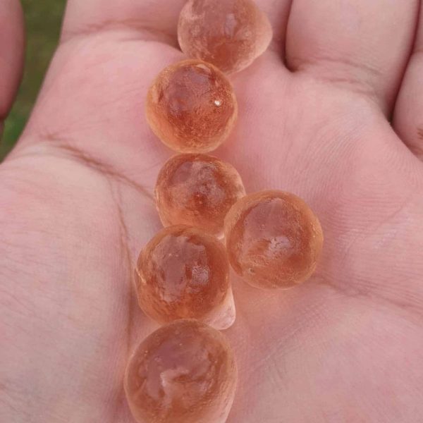 Goldfish Pearls - Type B1 - Image 3