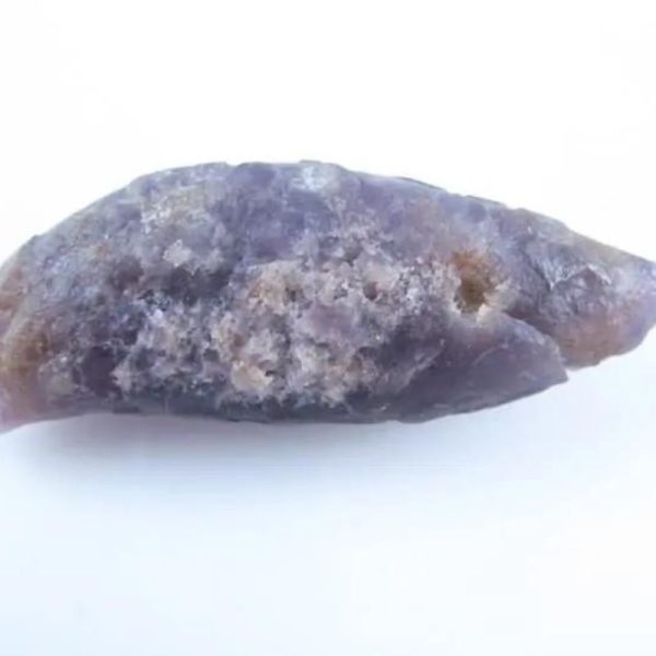 Fossilized Caterpillar - Type A2 - Image 3