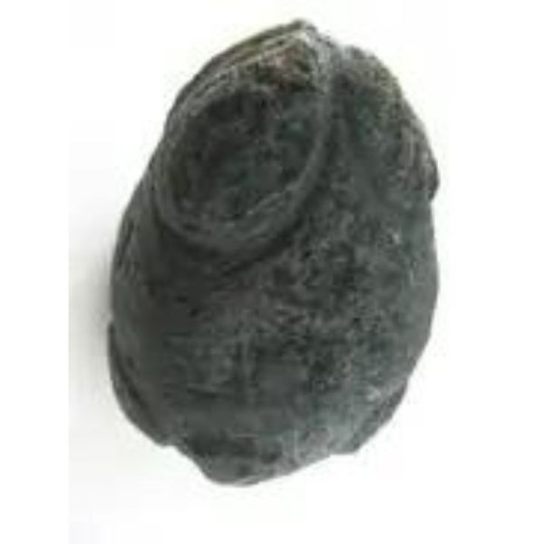 Star Oil Fossilized - A3.2 - Image 3
