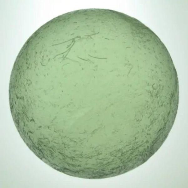 Bamboo Pendawa Pearl Type - C - Image 3