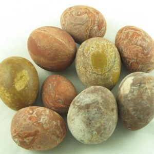 Merah Delimah Tree Pearl - Type D