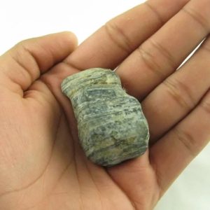 Gaharu/Agarwood Fossilized - Type B1.1