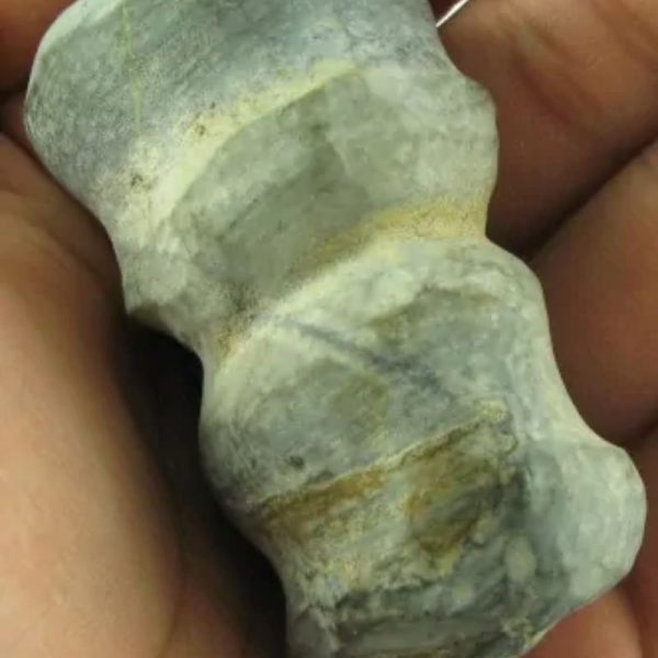 Gaharu/Agarwood Fossilized - Type B1.2 - Image 2