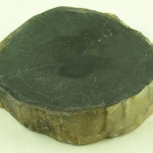 Gaharu/Agarwood Fossilized - Type C