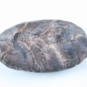 Gaharu/Agarwood Fossilized - Type F2
