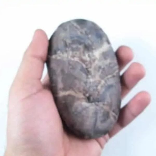 Gaharu/Agarwood Fossilized - Type F2 - Image 3
