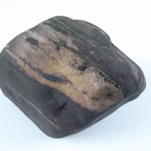 Gaharu/Agarwood Fossilized - Type F1