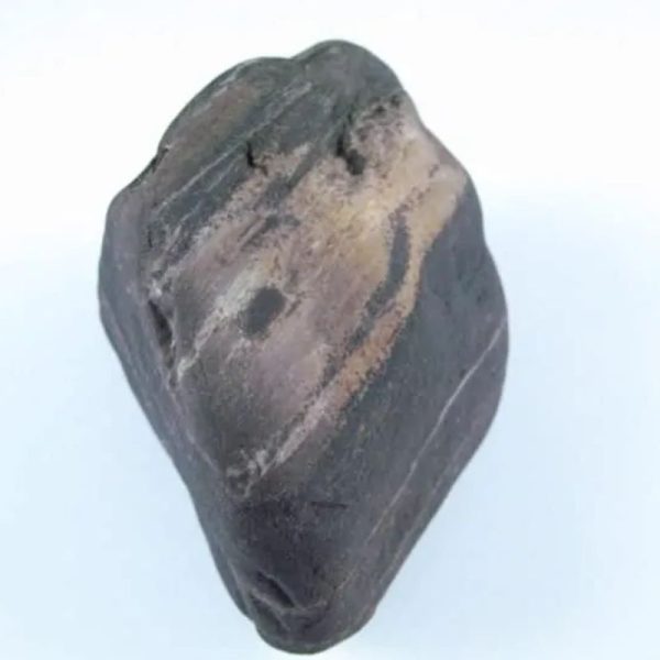 Gaharu/Agarwood Fossilized - Type F1 - Image 3