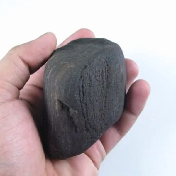 Gaharu/Agarwood Fossilized - Type F1 - Image 2