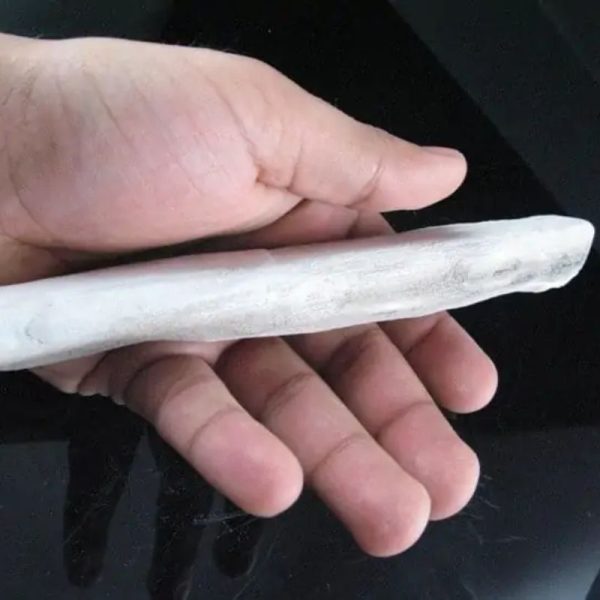 Kelor Wood Fossil - Type A1