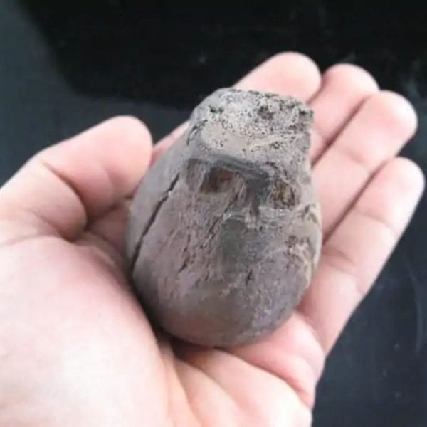 Kelor Wood Sap Fossil - Type A1 - Image 2