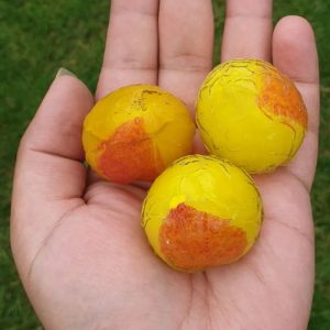 Wijoyo Mulyo Flower - Type C