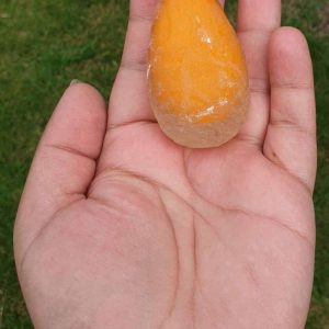 Waterlily Pearl A2 – Crystal/Orange