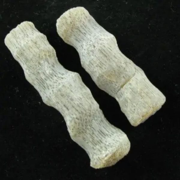 Fossilized Rattan Petok - Type C (Small Brown) - Image 4