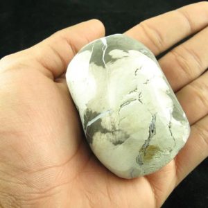 Fossilized Black Stigi - Type A1.2