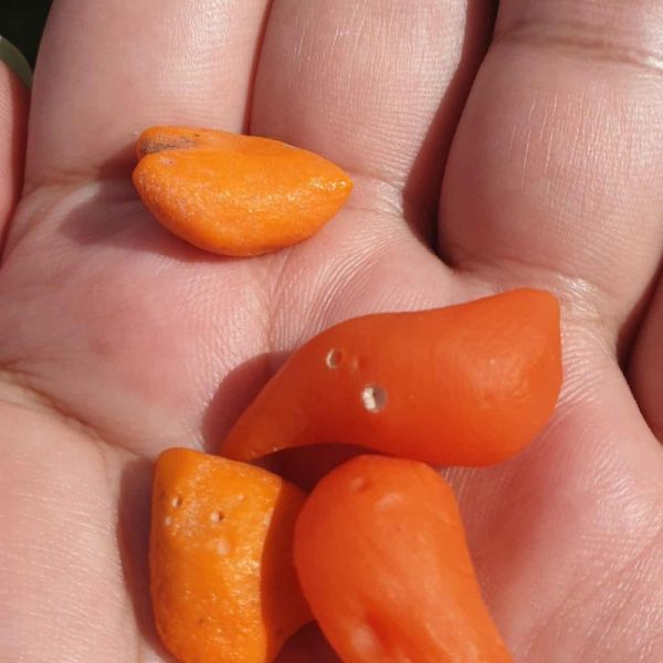 Kenanga Pearl - Type A - Image 3