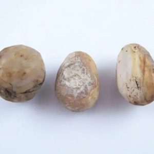 Sandalwood Pearl (Cendana) - Type A2