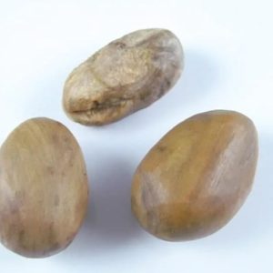Nagasari Wood Pearl - Type B1
