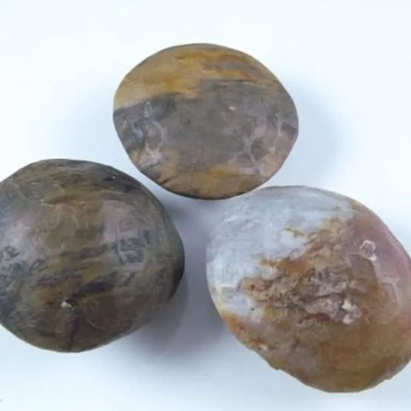 Nagasari Wood Pearl - Type B3 - Image 3
