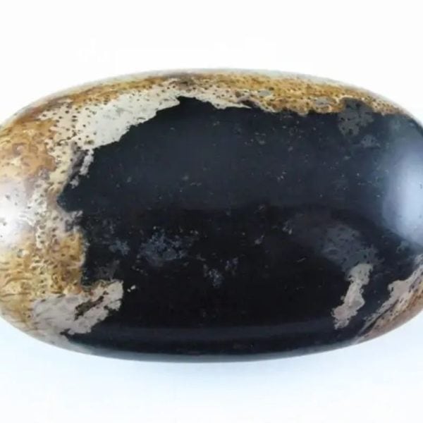 Liwung Wood Pearl - Type D1 (Fossil) - Image 6