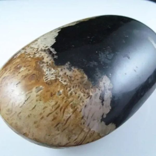 Liwung Wood Pearl - Type D1 (Fossil) - Image 5