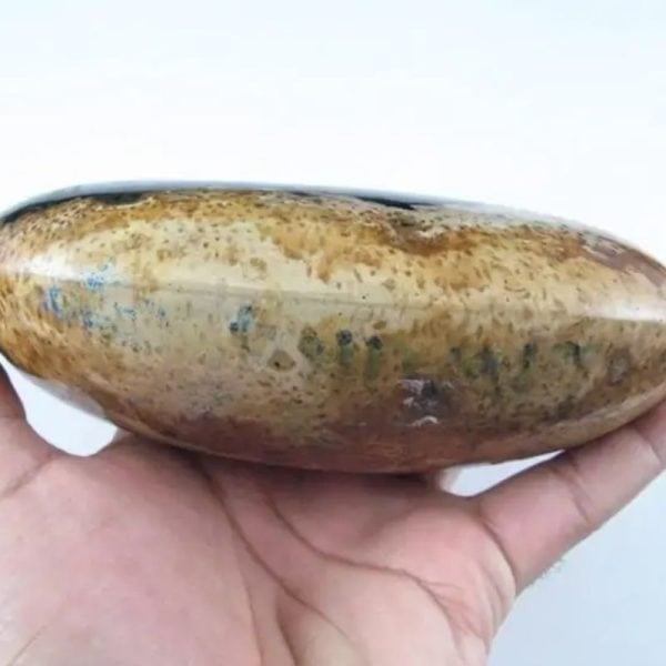 Liwung Wood Pearl - Type D1 (Fossil) - Image 3