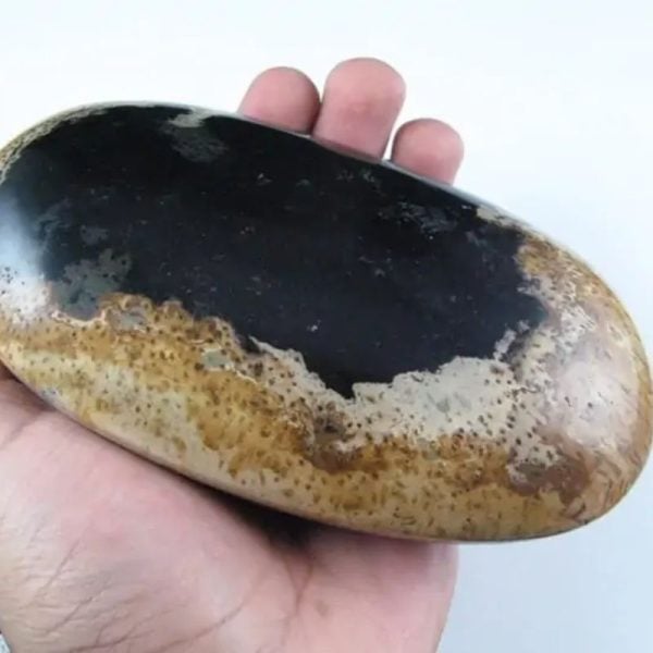 Liwung Wood Pearl - Type D1 (Fossil) - Image 2