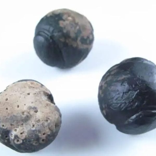 Liwung Wood Pearl - Type A4 - Image 4