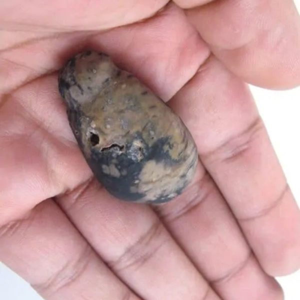 Liwung Wood Pearl - Type A3 - Image 2