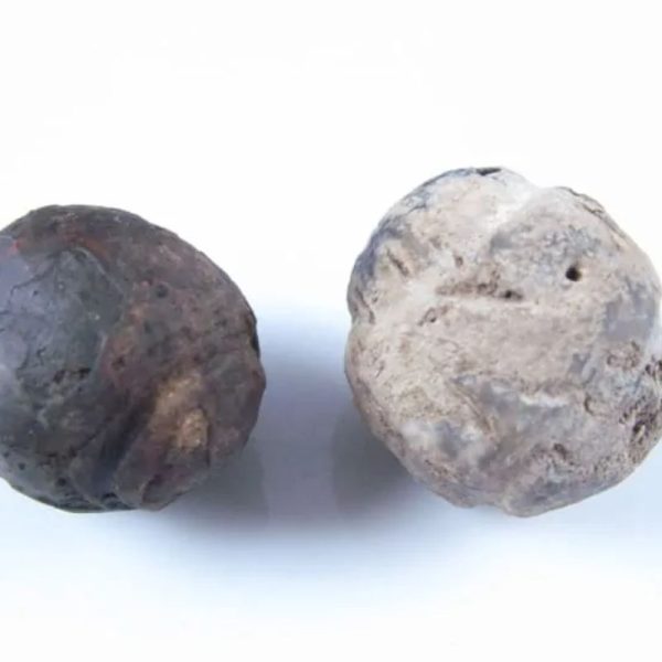 Liwung Wood Pearl - Type A1