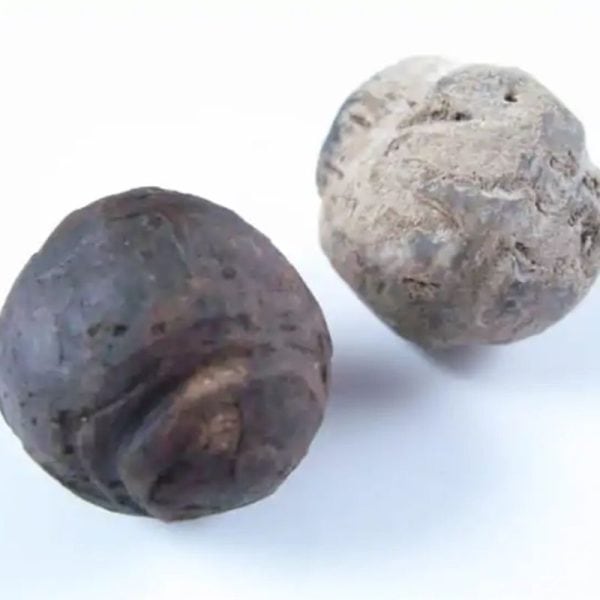Liwung Wood Pearl - Type A1 - Image 4