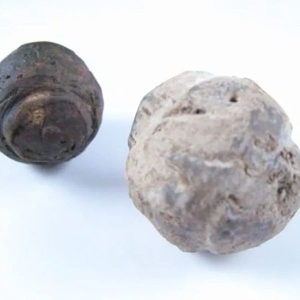 Liwung Wood Pearl - Type A1 - Image 3