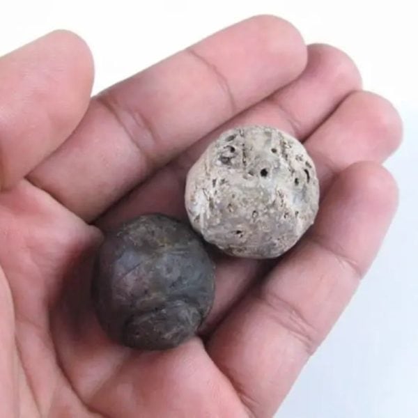 Liwung Wood Pearl - Type A1 - Image 2