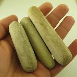 Fossilized Sandalwood - Type B