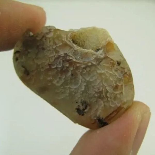 Heart of Banana Tree Pearl - Type D1 - Image 2