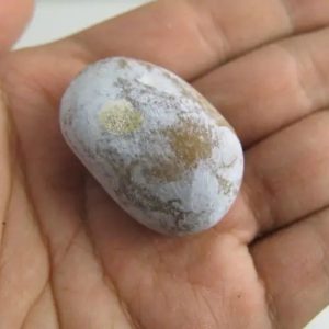Asem Wood Tree Core Pearl - Type B1